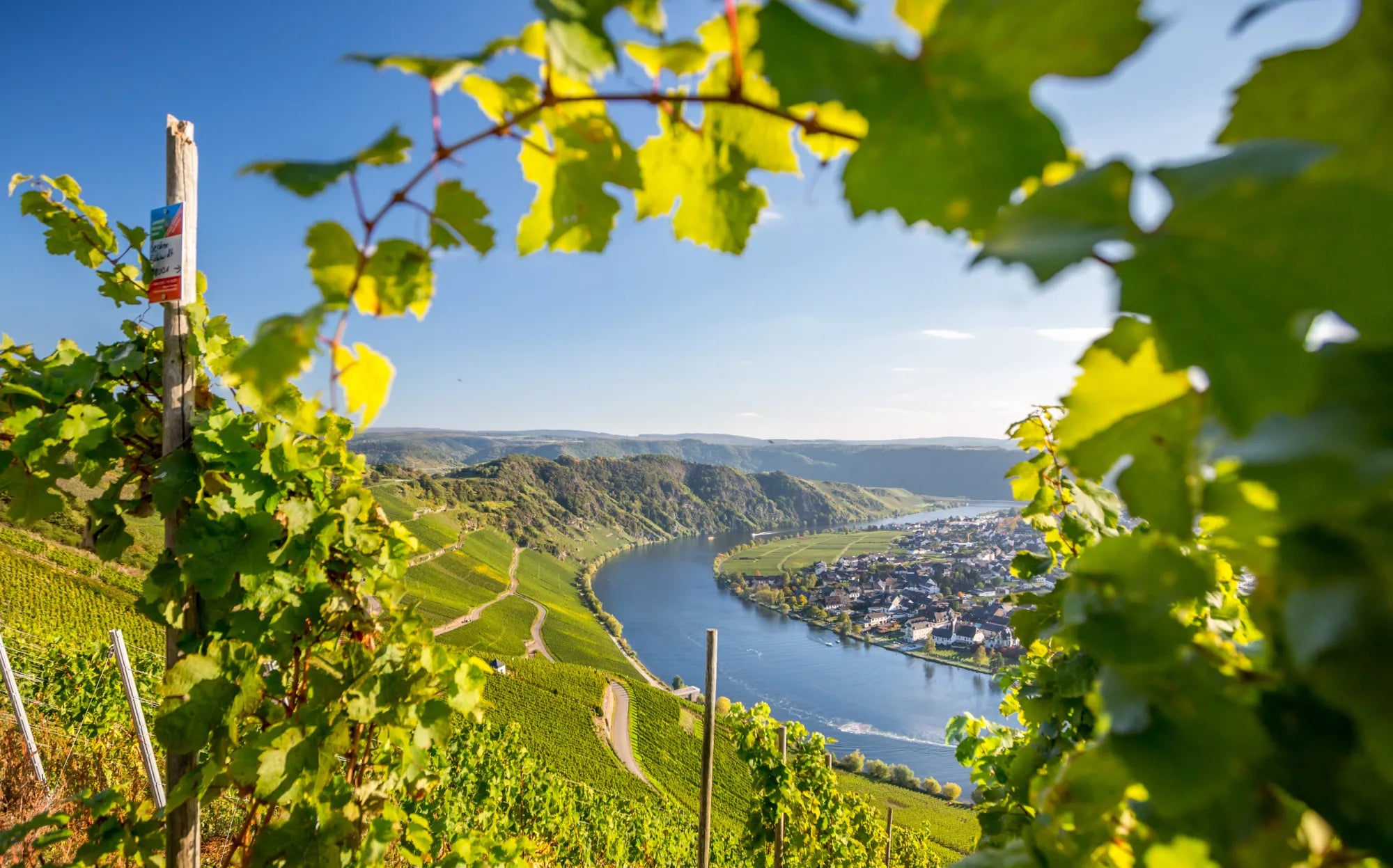 Mosel